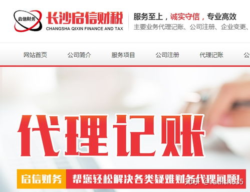 代理记账服务 专业代办，企业财务无忧